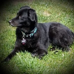 Meet your Posher, Deann